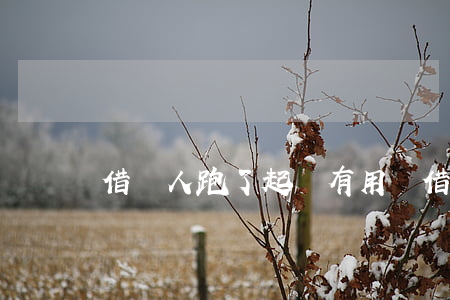 借錢人跑了起訴有用嗎(借錢人跑了算詐騙嗎)