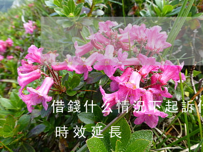 借錢什么情況下起訴(什么情況下借錢的訴訟時效延長)