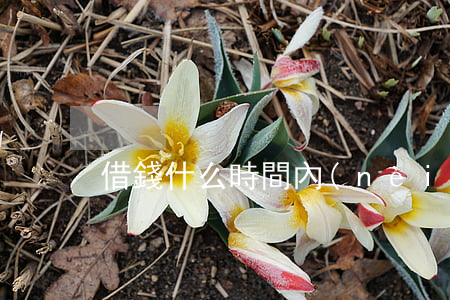 借錢什么時間內(nèi)起訴
