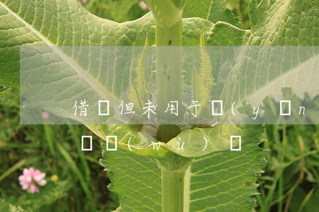 借錢但未用于養(yǎng)家算夫妻共同債務(wù)嗎
