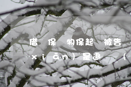 借錢保證物保起訴被告訴求(借款保證保險(xiǎn)是追償權(quán)糾紛嗎)