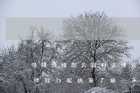 借錢借條怎么寫有法律效力(借條怎么寫有法律效力呢,快來了解一下吧)