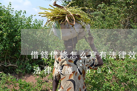 借錢借條怎么寫有法律效力(怎么寫借條才受法律保護(hù))
