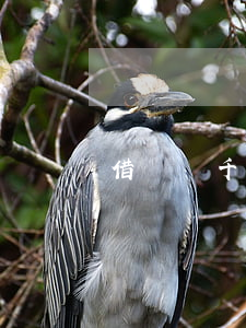 借錢兩千塊可以起訴嗎