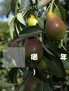 借錢兩年未還會起訴嗎(借錢兩年內(nèi)沒還訴訟時(shí)效)