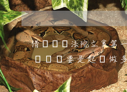 借錢兩萬法院立案第一步還調解嗎-借了兩萬塊錢,要是起訴,做多久牢