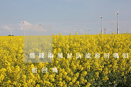 借錢兩萬起訴能追回嗎知乎（借錢兩萬起訴能追回嗎）
