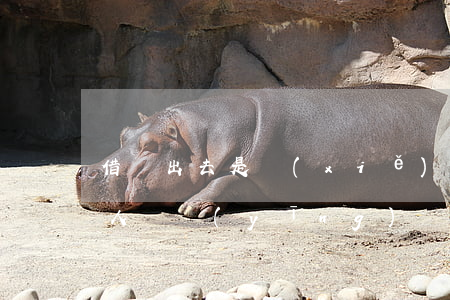 借錢出去是寫(xiě)借條還是欠條(借別人錢應(yīng)該寫(xiě)借條還是欠條)