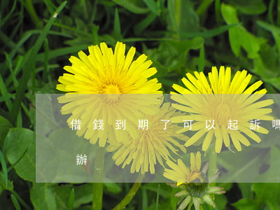 借錢到期了可以起訴嗎(借錢到期了不還怎么辦)