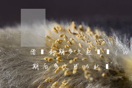 借錢到期多久起訴無(wú)效 借款期限到期后多久可以起訴