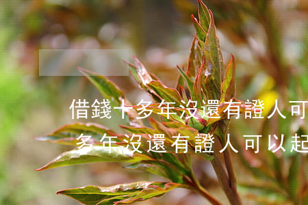 借錢十多年沒還有證人可以起訴嗎-借錢十多年沒還有證人可以起訴嗎法院