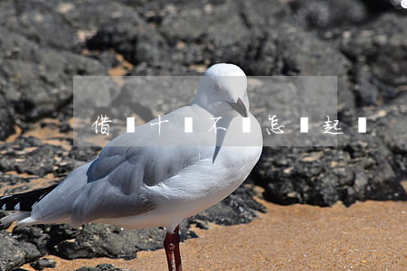 借錢十萬不還怎樣起訴