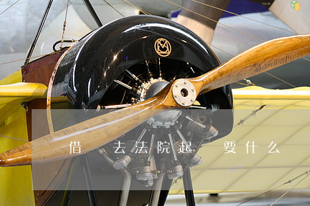 借錢去法院起訴要什么資料（借錢去法院起訴）