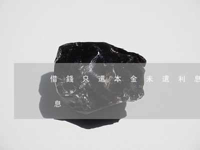 借錢只還本金未還利息（借錢只還本金未還利息）
