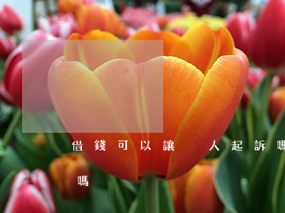 借錢可以讓別人起訴嗎(借錢給別人可以起訴嗎)