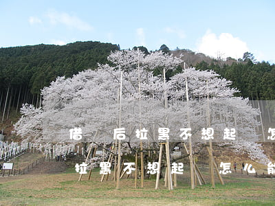 借錢后拉黑不想起訴怎么能找到人-借錢后拉黑不想起訴怎么能找到人呢