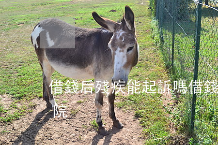借錢后殘疾能起訴嗎 借錢后殘疾能起訴嗎法院