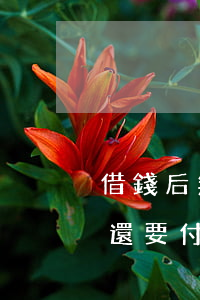 借錢后無力償還利息(借款人無力償還借款時還要付利息嗎)