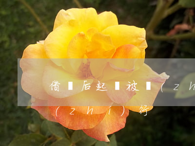 借錢后起訴被執(zhí)行人(借款人被執(zhí)行)