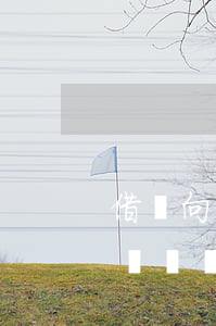 借錢向法院起訴(借錢向法院起訴了,個人還能討債嗎)