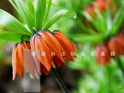 借錢向法院起訴還錢