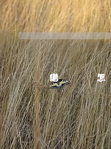 借錢單怎么寫法院起