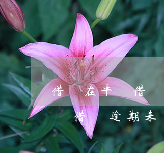 借錢在平臺借錢逾期未還怎么辦-借錢在平臺借錢逾期未還怎么辦呢