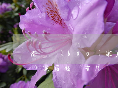 借錢報(bào)案后起訴(借錢報(bào)案后起訴有用嗎)