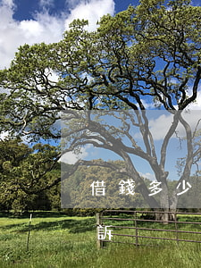 借錢多少可以去法院起訴（借錢到了多少能起訴）