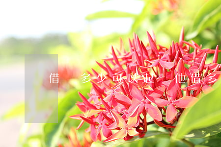 借錢多少可以起訴他(借多少錢可以告)