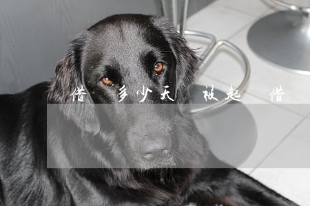 借錢多少天會被起訴(借錢多久不可以起訴)