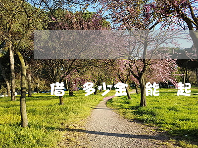借錢多少金額能夠起訴(借錢多少可以提起訴訟)