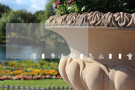 借錢多逾期會怎么樣(嚴重逾期能借錢嗎)