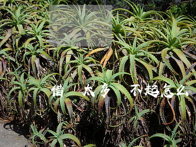 借錢太多還不起怎么辦(借錢多錢不還怎樣起訴)