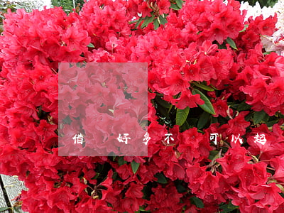 借錢好多不還可以起訴(借錢好多不還可以起訴)