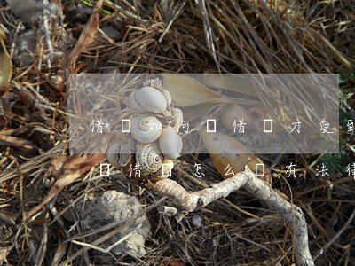借錢如何寫借條才受到法律保護(hù)(借錢借條怎么寫有法律保護(hù))