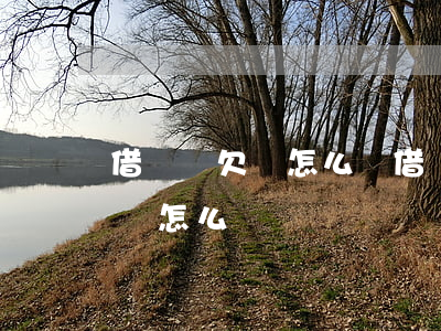 借錢寫欠條怎么寫(借錢欠條應(yīng)該怎么寫)