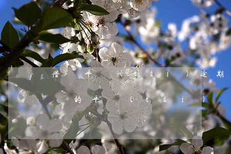 借錢平臺(tái)逾期(正在逾期中可以借錢的平臺(tái))