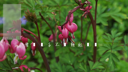 借錢幾千不還能起訴嗎