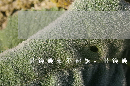借錢幾年不起訴-借錢幾年不起訴有效嗎