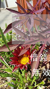 借錢幾年法院起訴無效-借錢幾年法院起訴無效