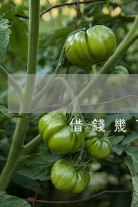 借錢幾百去法院起訴(借錢幾百去法院起訴)