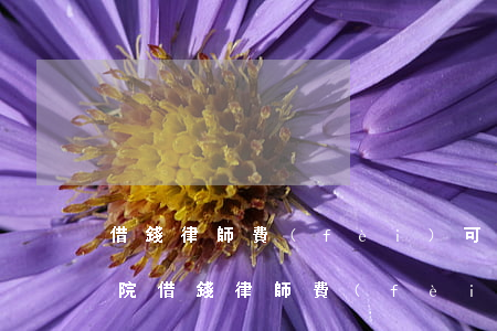 借錢律師費(fèi)可以要求被告出嗎（法院借錢律師費(fèi)）