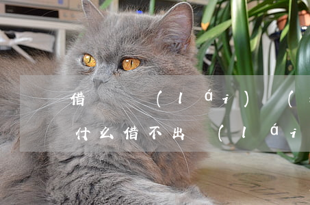 借錢從來(lái)沒(méi)有逾期為什么借不出來(lái)-借錢從來(lái)沒(méi)有逾期為什么借不出來(lái)了