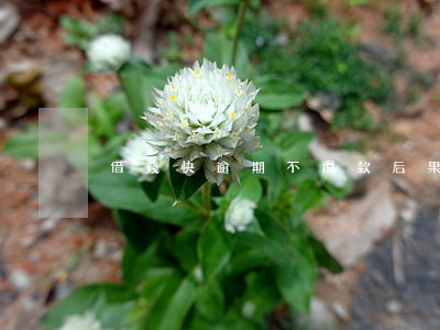 借錢快逾期不還款后果(借款逾期不還違法嗎)