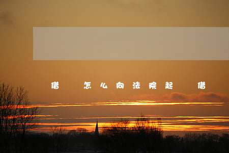 借錢怎么向法院起訴（借錢該怎么起訴）