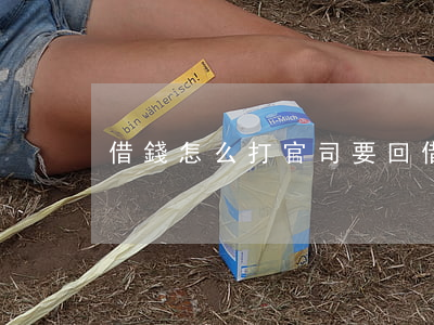 借錢怎么打官司要回(借錢怎么起訴還錢)