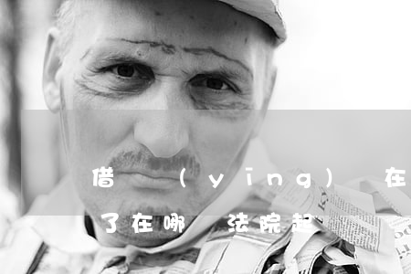 借錢應(yīng)該在哪個地方起訴（借錢了在哪個法院起訴）