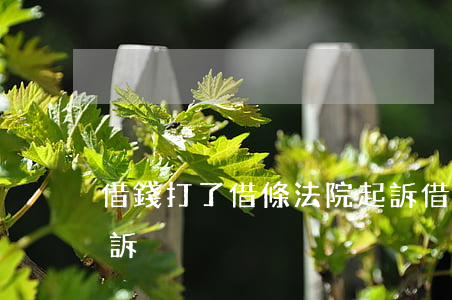 借錢打了借條法院起訴(借錢打了借條法院起訴)