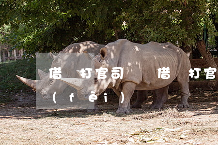 借錢打官司勝訴(借錢打官司贏了誰給律師費(fèi))